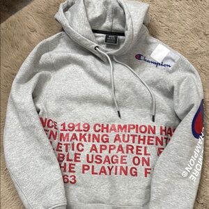Champion Sweatshirt Hoodie Behind the Label Super Fleece 2.0 Gray